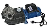 Productos QP 500568M Bravia - Bomba Monofasica Centrífuga Autoaspirante para Piscina,...