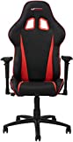 GT OMEGA Pro Silla de Juego Racing con Soporte Lumbar Silla de Oficina Ergonómica de Cuero con...